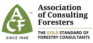 ACF Logo Gold Standard - Pine Curve