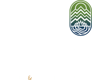 Pine Curve WHITE Logo 800px - Pine Curve