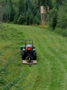 Mowing Food Plot rotated - Pine Curve