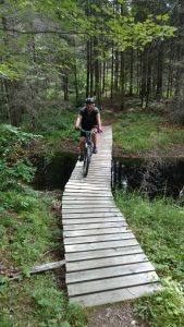 Recreational Trail Establishment scaled - Pine Curve