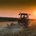 Copy of blog images 89 - Pine Curve