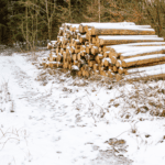 Copy of blog images 2026 01 09T163407.535 - Pine Curve