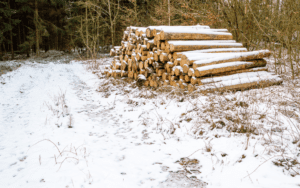 Copy of blog images 2026 01 09T163407.535 - Pine Curve